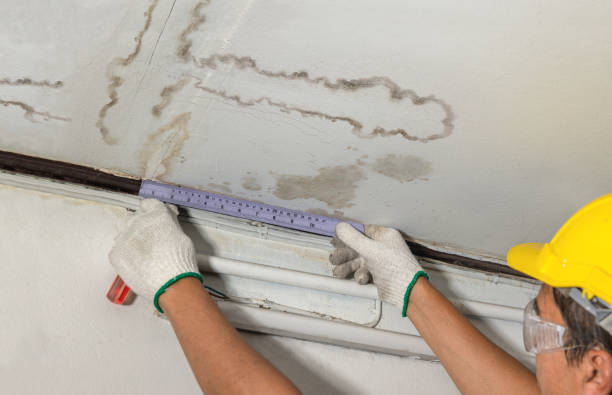 Affordable Water Damage Repair solutions in Oakman, AL